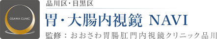 品川区・目黒区　胃・大腸内視鏡 NAVI　監修：おおさわ胃腸肛門クリニック