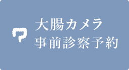 大腸カメラ事前診察予約