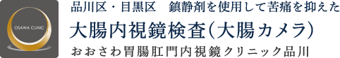 品川区・目黒区　鎮静剤を使用して苦痛を抑えた大腸内視鏡検査（大腸カメラ） おおさわ胃腸肛門内視鏡クリニック品川