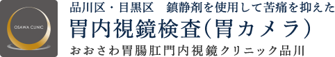 品川区・目黒区　鎮静剤を使用して苦痛を抑えた胃内視鏡検査（胃カメラ） おおさわ胃腸肛門内視鏡クリニック品川