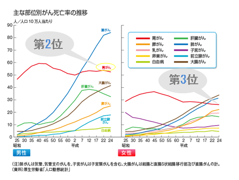 がん死亡率推移グラフ