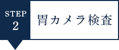 02 胃カメラ