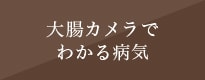 大腸カメラでわかる病気