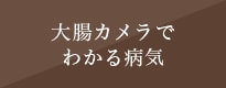 大腸カメラでわかる病気