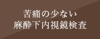 苦痛の少ない麻酔下内視鏡検査